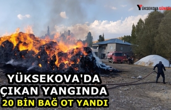 Yüksekova'da Çıkan Yangında 20 Bin Bağ Ot Yandı