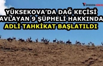 Yüksekova’da dağ keçisi avlayan 9 şüpheli hakkında adli tahkikat başlatıldı