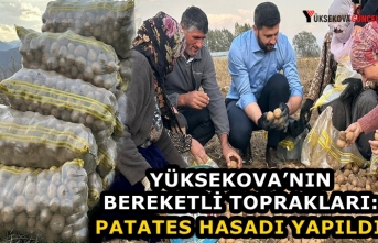 Yüksekova’nın bereketli toprakları: Patates hasadı...