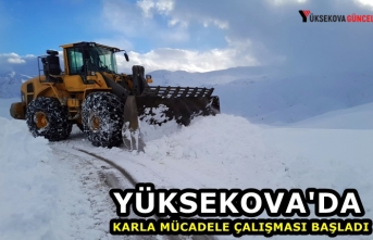 Yüksekova'da karla mücadele çalışması başladı