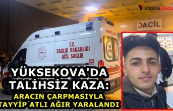 Yüksekova'da Talihsiz Kaza: Aracın Çarpmasıyla Tayyip Atlı Ağır Yaralandı