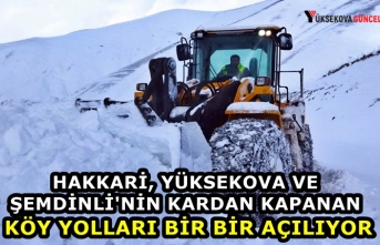 Hakkari, Yüksekova ve Şemdinli'nin Kardan Kapanan...