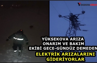Yüksekova Arıza Onarım ve Bakım Ekibi Gece-Gündüz Demeden Elektrik Arızalarını Gideriyorlar