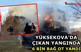Yüksekova'da Çıkan Yangında 6 Bin Bağ Ot Yandı