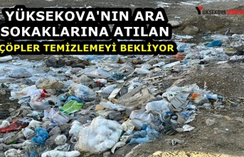 Yüksekova'nın ara sokaklarına atılan çöpler temizlemeyi bekliyor