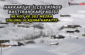 Hakkari ve İlçelerinde bastıran kar yağışı 96 köy ve 202 mezra yolunu ulaşıma kapattı