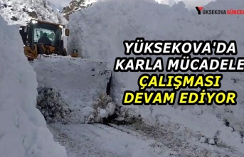 Yüksekova'da karla mücadele çalışması devam ediyor