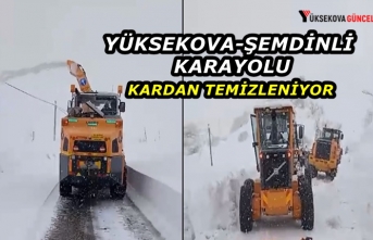 Yüksekova-Şemdinli karayolu kardan temizleniyor