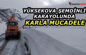 Yüksekova-Şemdinli karayolunda karla mücadele