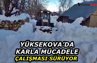 Yüksekova’da karla mücadele çalışması sürüyor