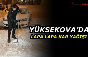 Yüksekova’da Lapa Lapa Kar Yağışı