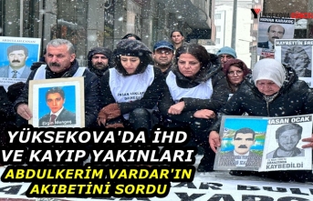 Yüksekova'da İHD ve Kayıp Yakınları, Abdulkerim Vardar'ın Akıbetini Sordu