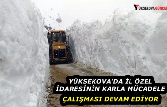 Yüksekova'da İl Özel İdaresinin Karla Mücadele...