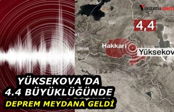 Yüksekova’da 4.4 büyüklüğünde deprem meydana geldi