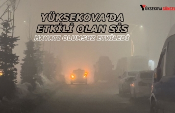 Yüksekova’da etkili olan sis hayatı olumsuz etkiledi