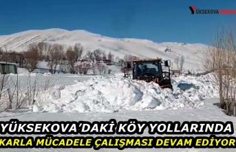 Yüksekova’daki köy yollarında karla mücadele...