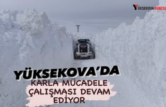 Yüksekova’da karla mücadele çalışması devam...
