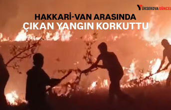 Korku Dolu Anlar: Hakkari-Van Sınırında Gece Yangını!