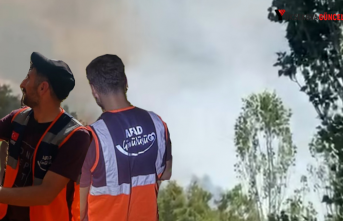 Şemdinli'de orman yangını: AFAD gönüllüleri en hızlı şekilde müdahalede bulundu