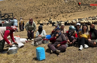 Yüksekova'da Berivanlara Yönelik Süt Hijyeni Eğitimi Sürüyor