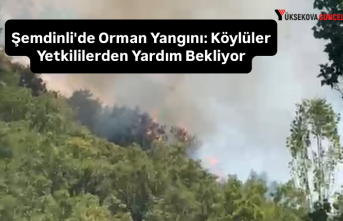 Şemdinli'de Orman Yangını: Köylüler Yetkililerden Yardım Bekliyor