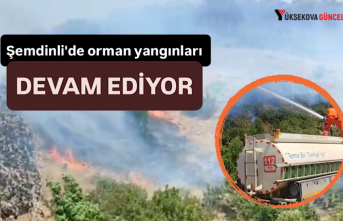Şemdinli'de Orman Yangınları Devam Ediyor