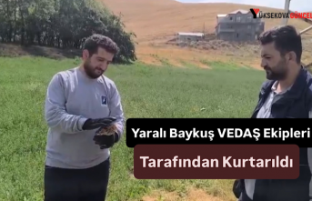 Yaralı Baykuş VEDAŞ Ekipleri Tarafından Kurtarıldı