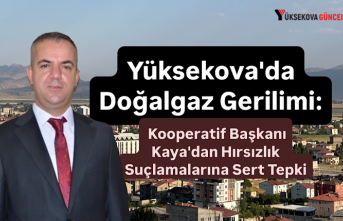 Yüksekova'da Doğalgaz Gerilimi: Kooperatif Başkanı Kaya'dan Hırsızlık Suçlamalarına Sert Tepki