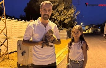 Yüksekova’da baba-kız yaralı kediyi hayata döndürdü