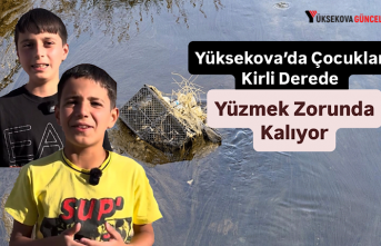 Yüksekova’da Çocuklar Kirli Derede Yüzmek Zorunda Kalıyor