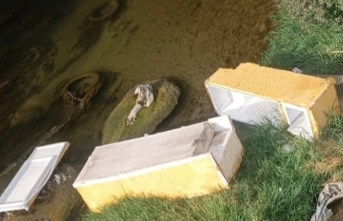 Yüksekova’da Büyükçay Deresi’ne Atılan Çöpler Tepki Topladı