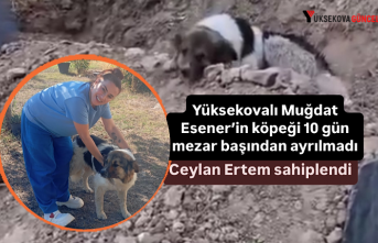 Yüksekovalı Muğdat Esener’in köpeği 10 gün...