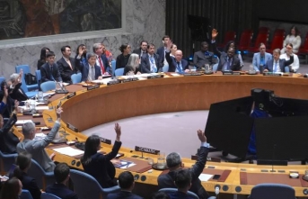 14 üye 'evet' oyu kullandı, ABD'nin tek oyu yetti; Gazze'de acil ateşkes ve insanî yardım öneren BMGK tasarısı veto edildi!