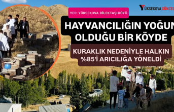Hayvancılığın Merkezi Yüksekova Dilektaşı Köyü'nde Kuraklık Sonrası Değişim: “Köylülerin %85'i Artık Arıcılık Yapmaya Başladı”