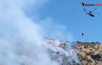 Şemdinli'deki Orman Yangınına Elazığ'dan Hava Desteği