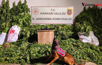 Yüksekova'da Jandarmadan Uyuşturucu Operasyonu:...