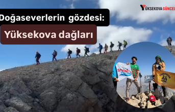 Doğaseverlerin gözdesi: Yüksekova dağları