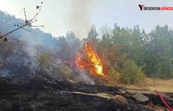 Hakkari’de Üç Farklı Noktada Yangın Kontrol...