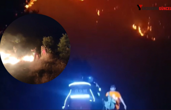 Şemdinli'de Orman Yangını: Alevler Yerleşim Yerine Ulaştı, Ekipler Müdahale Ediyor