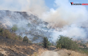 Türkiye-İran sınırında yangın: Vatandaşlar müdahale etti