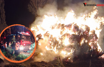 Yüksekova'da Ot Yangını Korkuttu