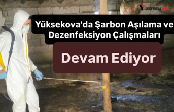Yüksekova'da Şarbon Aşılama ve Dezenfeksiyon Çalışmaları Devam Ediyor