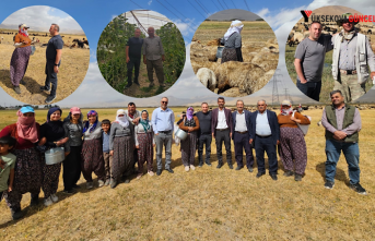 Yüksekova’da çiftçiler rahat bir nefes aldı: “Şap hastalığı kontrol altına alındı”