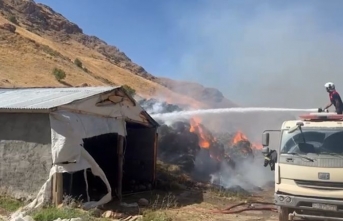 Yüksekova’da yangın: 20 bin bağ ot kül oldu