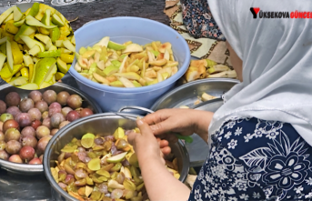 Yüksekova’nın Kadınlarından Kış Hazırlığı: “Pestil Yapımı Sürüyor”
