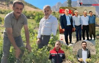Yüksekova’nın yerli üzümün merkezi: Yeşiltaş köyü