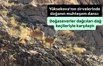 Yüksekova’nın zirvelerinde doğanın muhteşem...
