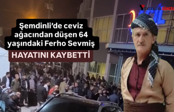 Şemdinli’de ceviz ağacından düşen 64 yaşındaki Ferho Sevmiş hayatını kaybetti