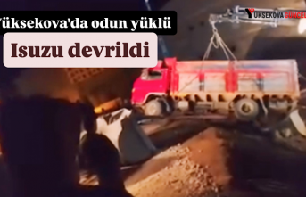 Yüksekova'da odun yüklü Isuzu devrildi