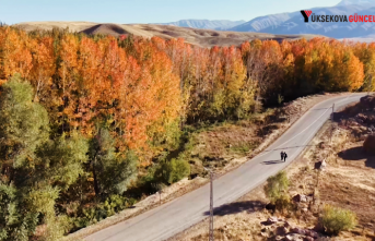 Yüksekova'da sonbahar ihtişamı